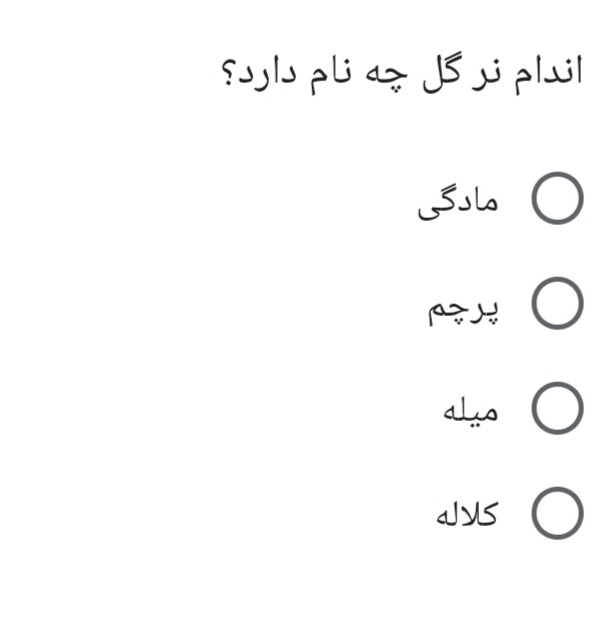 دریافت سوال 11