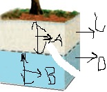 دریافت سوال 14