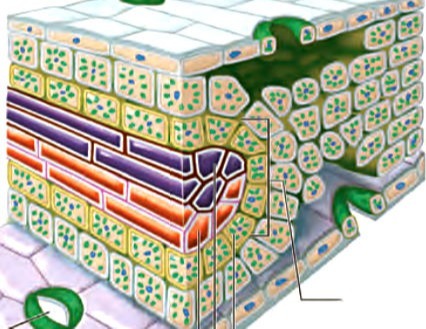 دریافت سوال 30