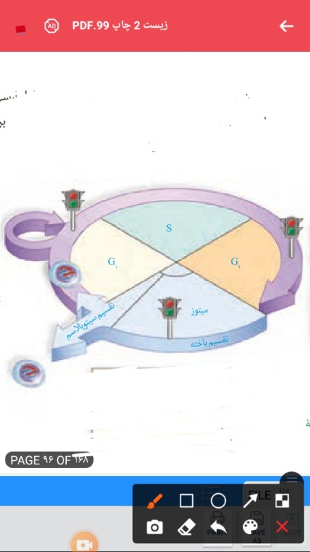 دریافت سوال 11