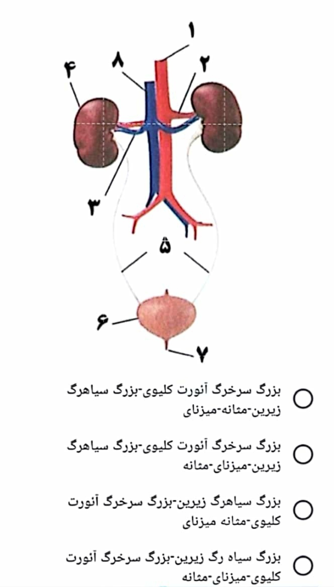 دریافت سوال 31