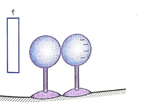 دریافت سوال 9