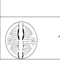 دریافت سوال 23