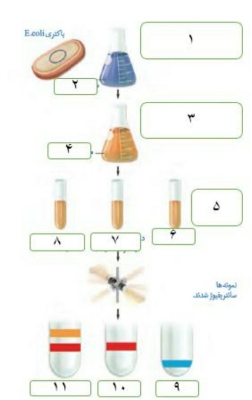 دریافت سوال 6