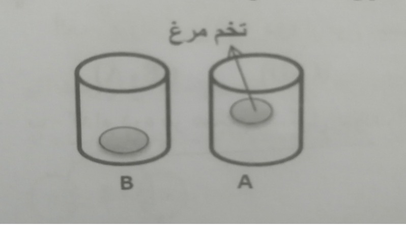 دریافت سوال 16