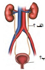 دریافت سوال 18