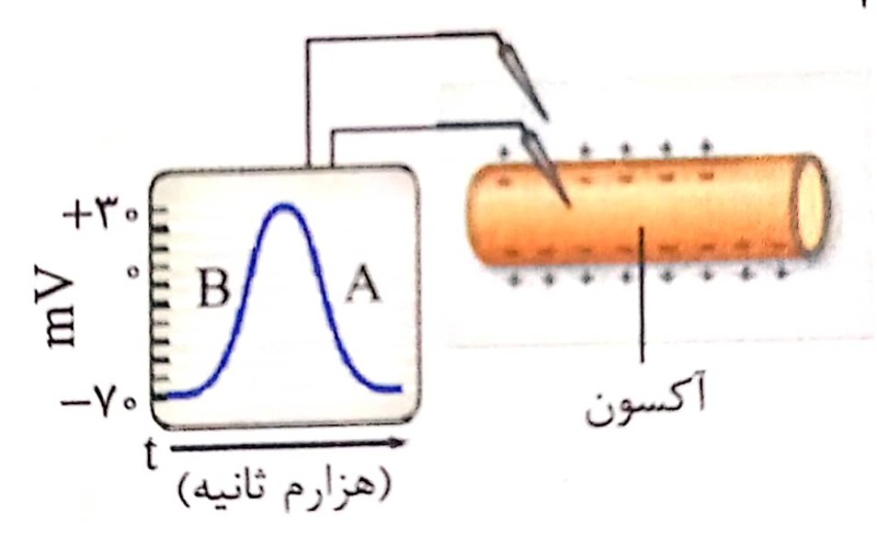 دریافت سوال 2