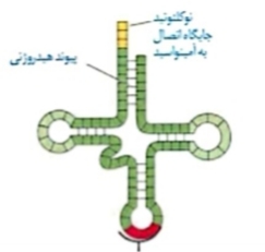 دریافت سوال 16