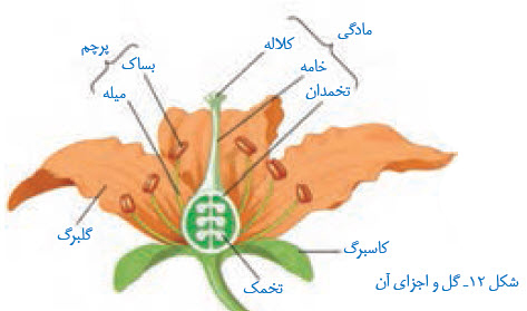 دریافت سوال 24