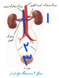 دریافت سوال 25