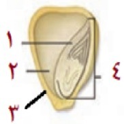 دریافت سوال 20