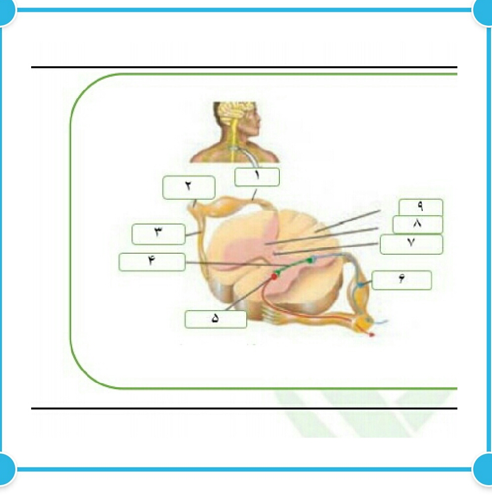 دریافت سوال 7