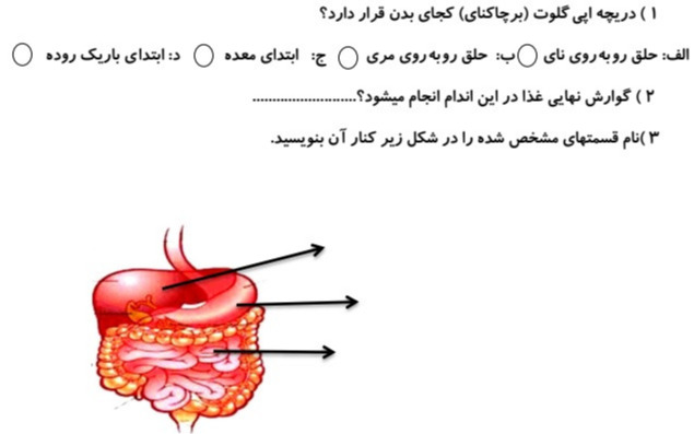 دریافت سوال 22