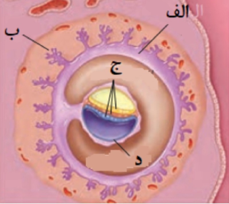 دریافت سوال 76