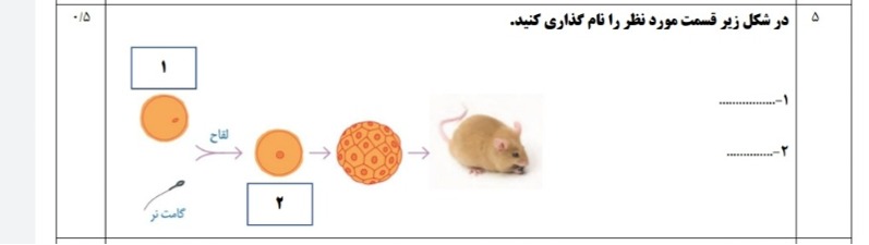 دریافت سوال 6