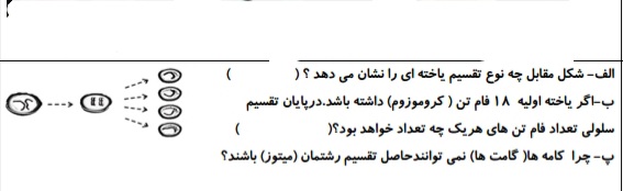 دریافت سوال 5