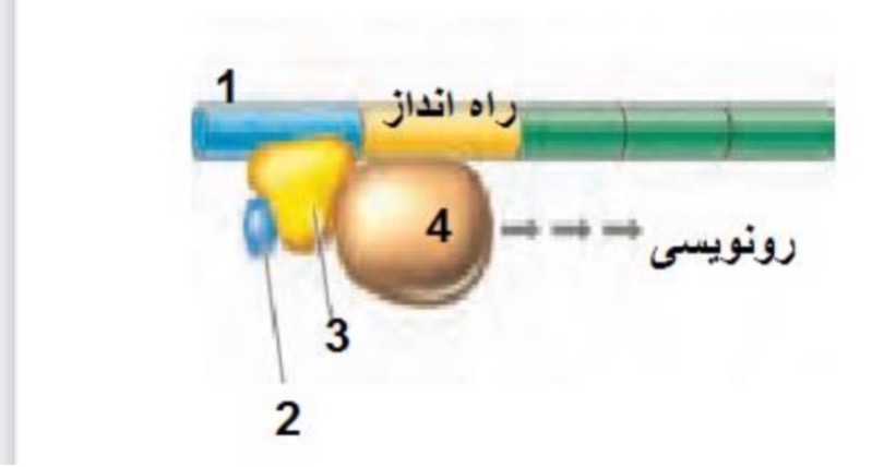 دریافت سوال 19