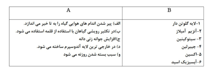 دریافت سوال 19