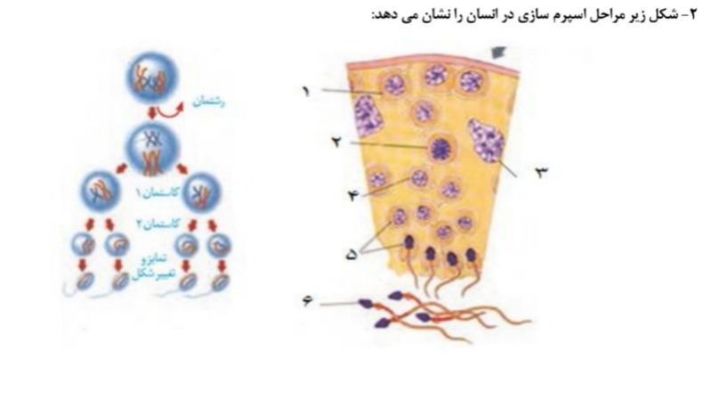 دریافت سوال 6