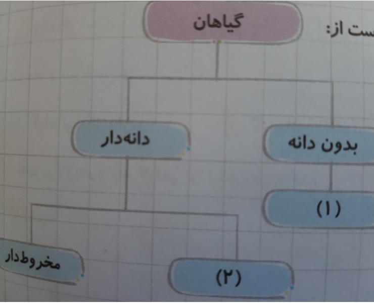 دریافت سوال 14