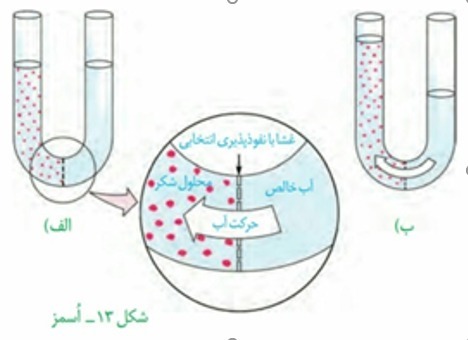 دریافت سوال 5