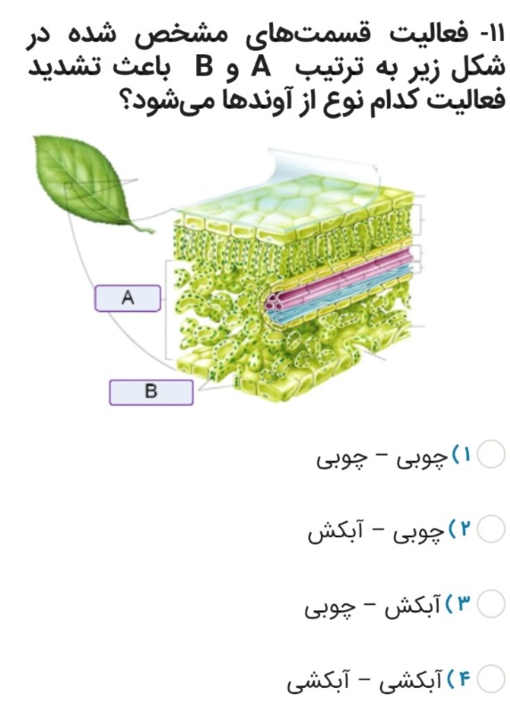 دریافت سوال 11