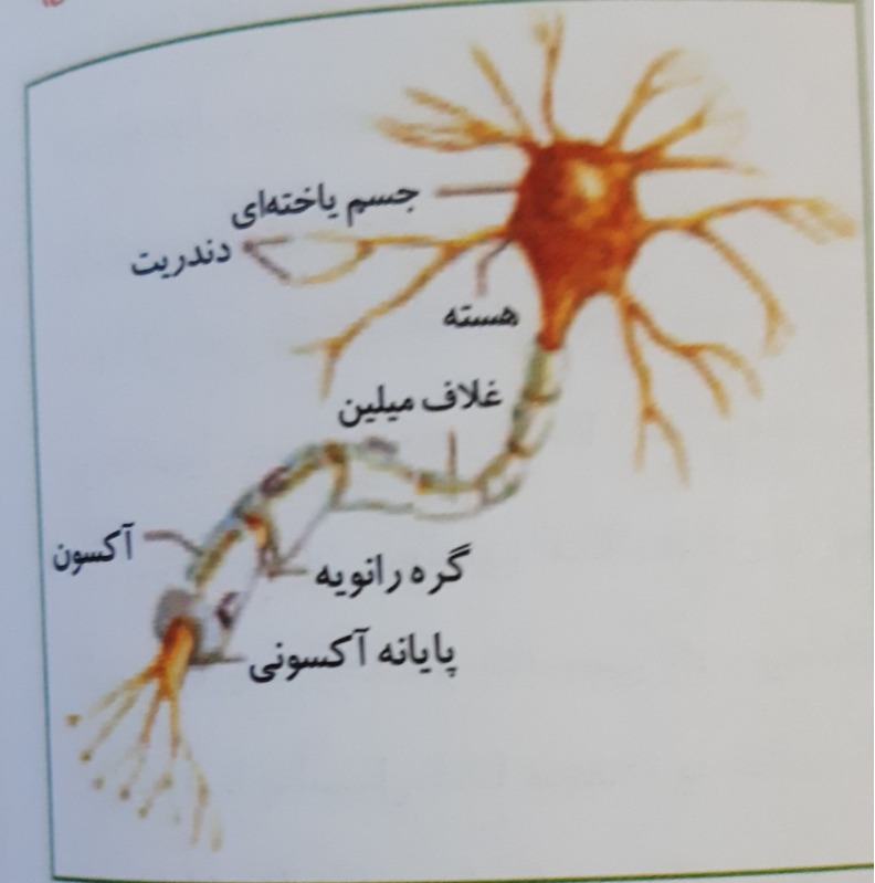 دریافت سوال 1