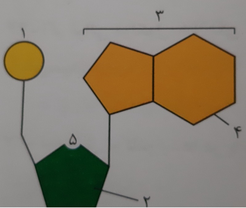 دریافت سوال 10