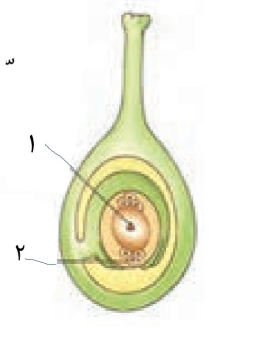 دریافت سوال 16