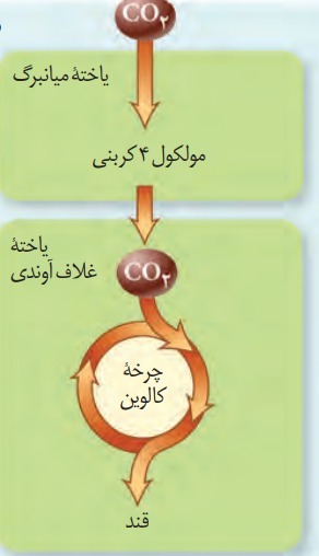 دریافت سوال 2