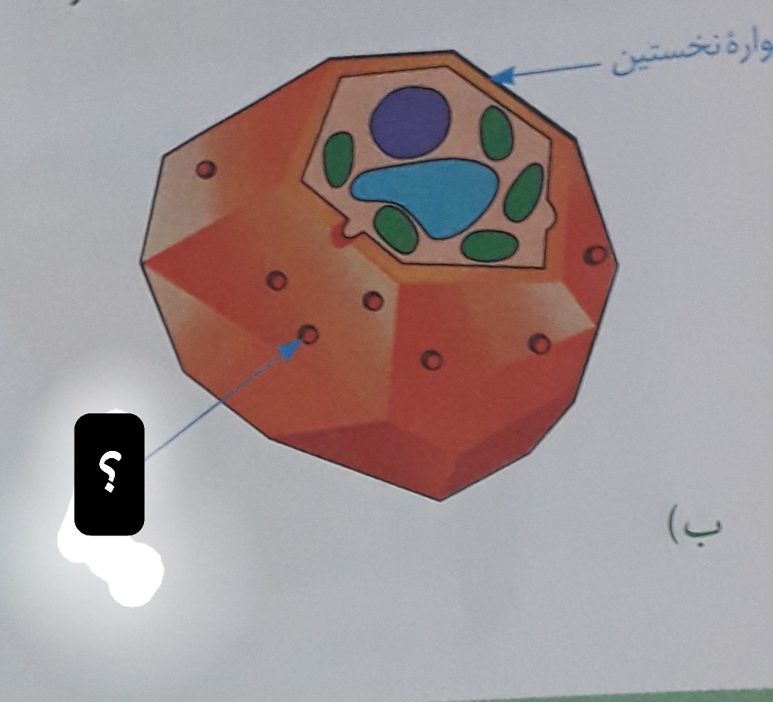 دریافت سوال 10