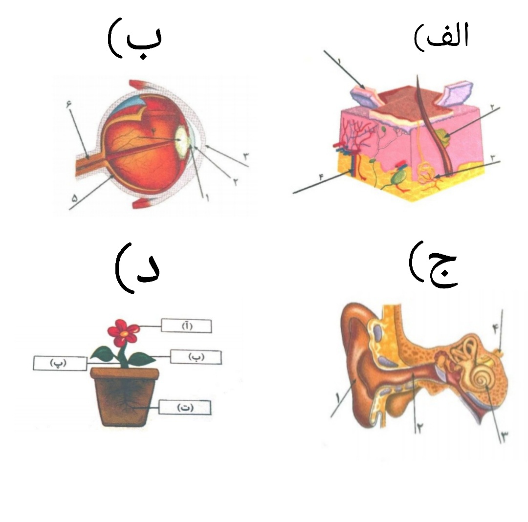 دریافت سوال 5