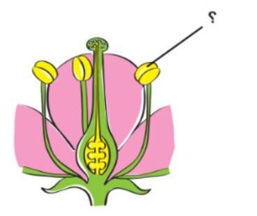 دریافت سوال 6