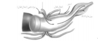 دریافت سوال 14