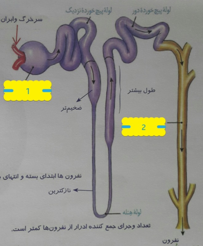 دریافت سوال 16