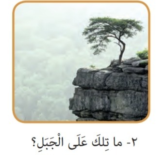 دریافت سوال 29
