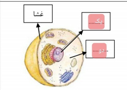 دریافت سوال 12