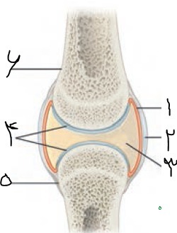 دریافت سوال 9