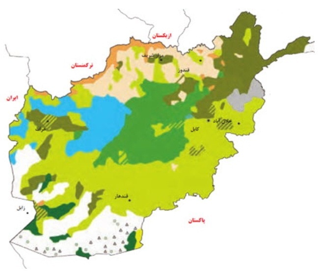 دریافت سوال 40