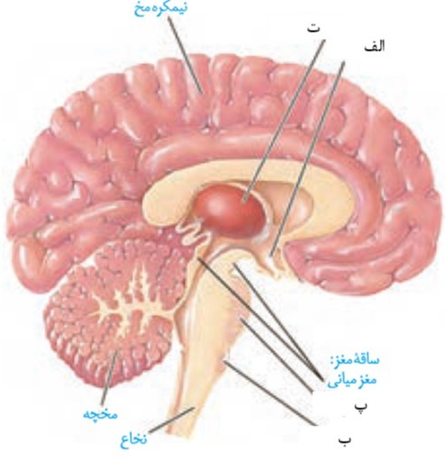 دریافت سوال 18