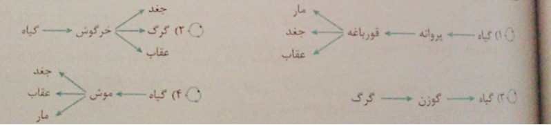 دریافت سوال 24