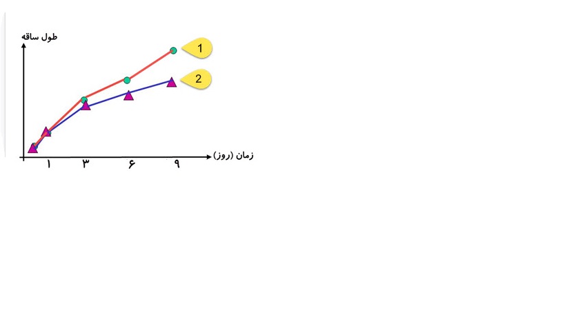 دریافت سوال 4