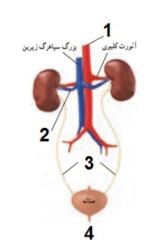 دریافت سوال 21