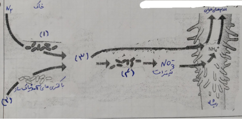 دریافت سوال 17