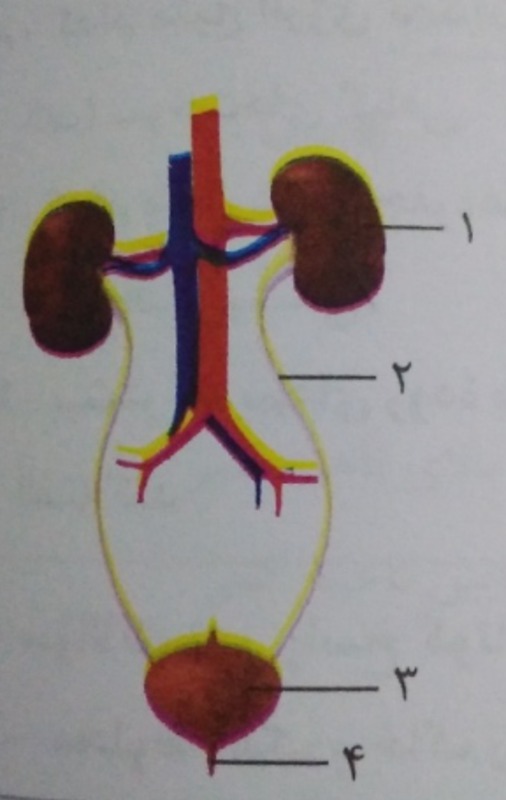 دریافت سوال 3