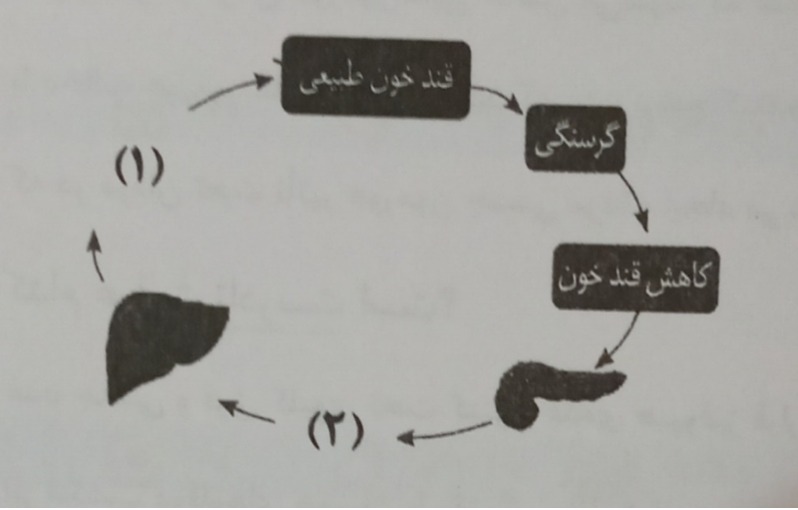 دریافت سوال 3