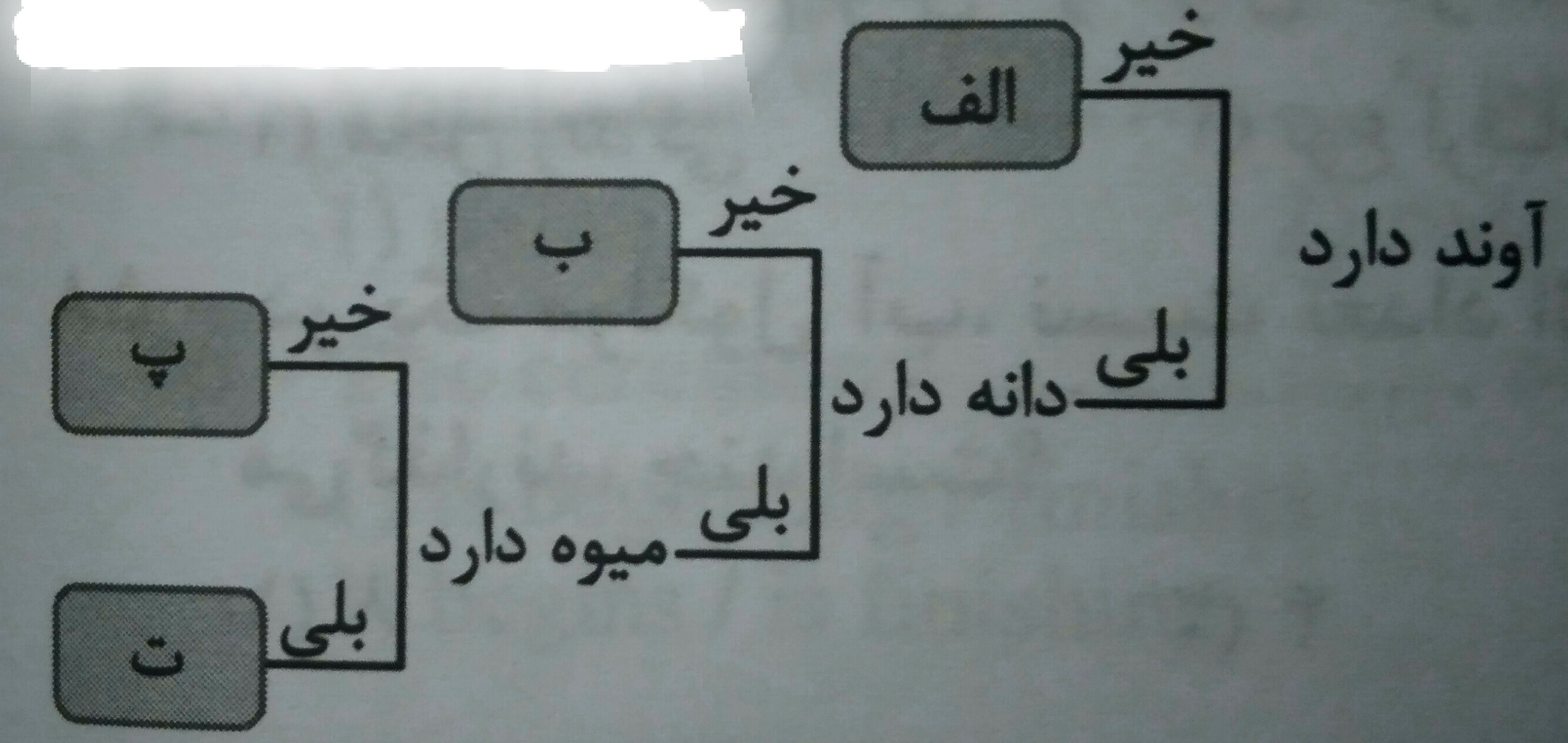 دریافت سوال 17