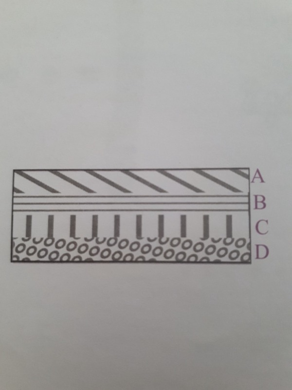 دریافت سوال 3