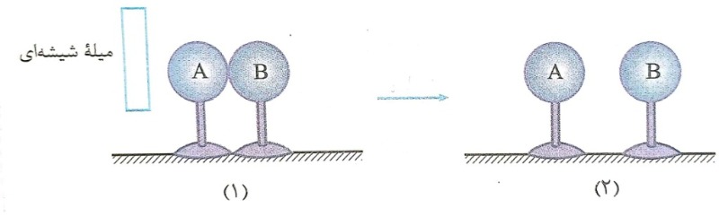 دریافت سوال 5