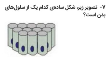 دریافت سوال 7